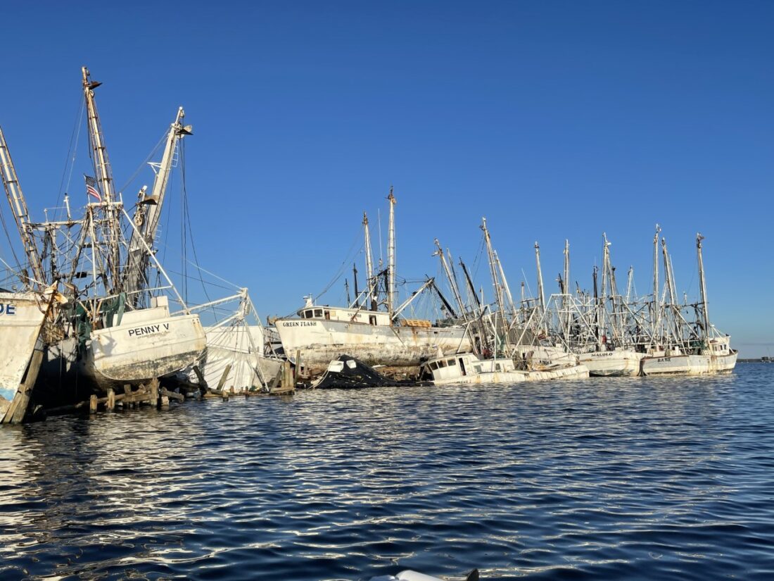 Fort Myers Beach shrimp boats returning to water News, Sports, Jobs